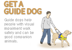 GET A GUIDE DOG - Guide dogs help people with visual impairment walk safely and can be good companion animals.