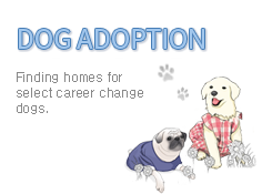 DOG ADOPTION - Finding homes for select career change dogs.