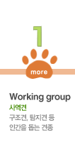 01.Working group