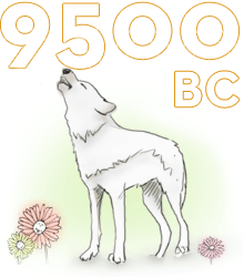 BC 9500