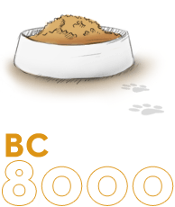 BC 8,000