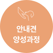 ȳ 缺