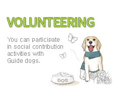 VOLUNTEERING - You can participate in social contribution activities with Guide dogs.