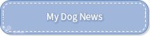 MY DOG NEWS
