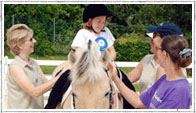 Guide dog image