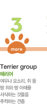 03. Terrier group