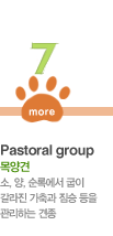 07. Pastoral group