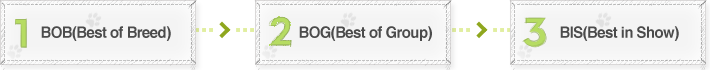BOB(Best of Breed) ▶ BOG(Best of Group ▶ BIS(Best in Show)