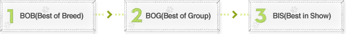 BOB(Best of Breed) ¢º BOG(Best of Group ¢º BIS(Best in Show)